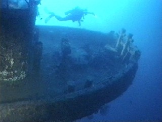 The bow